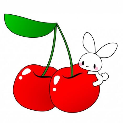 うさぎとさくらんぼ